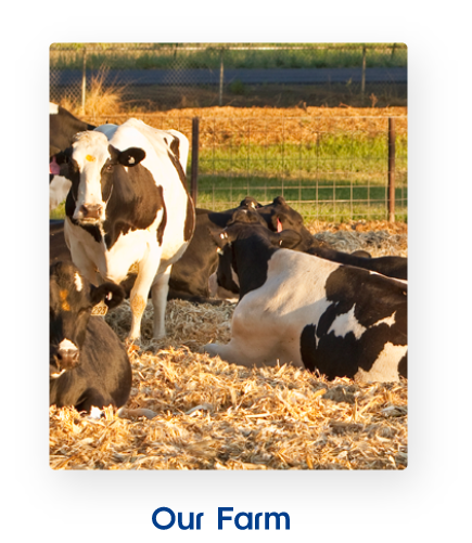 Milk Products farm
