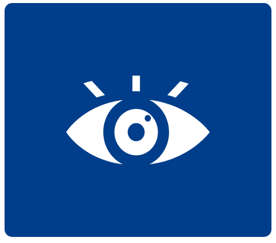 Vision